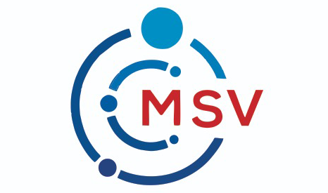 MSV Group India