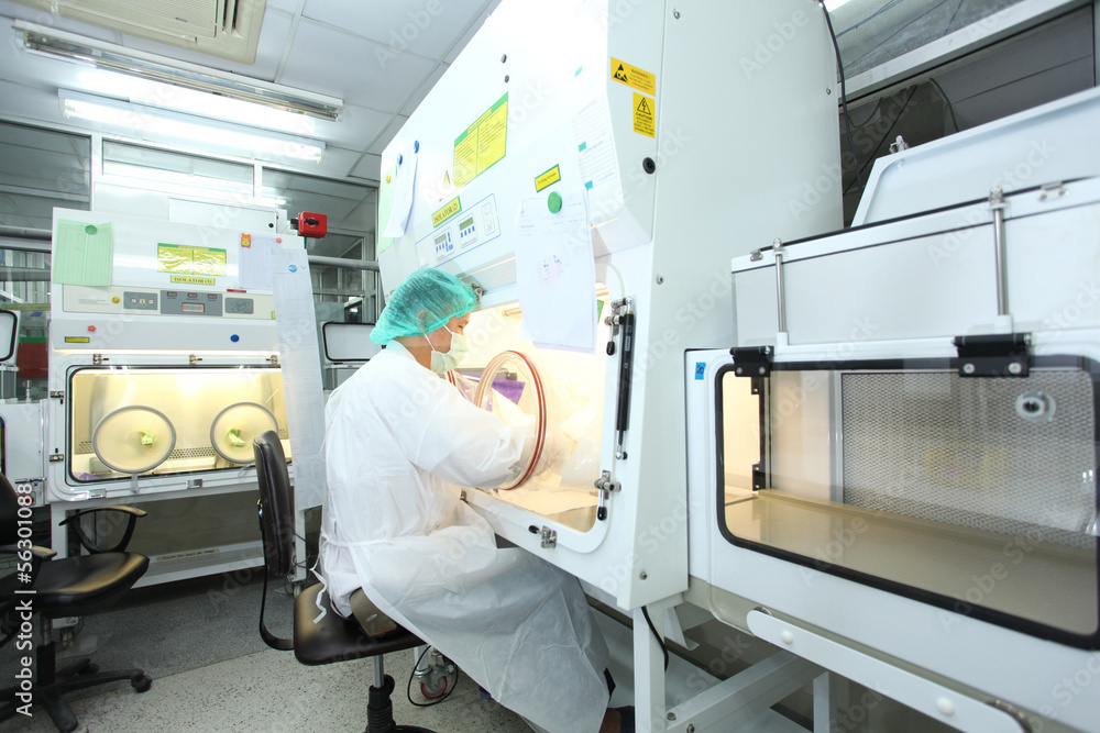 Nutraceutical Production Zone Installation 2